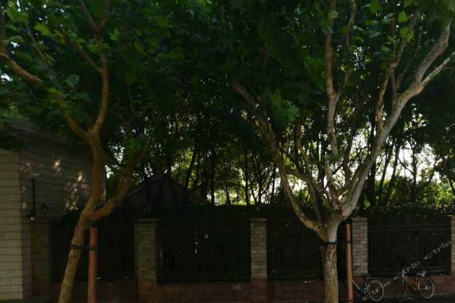 Green Court Residence Jinqiao Diamond Şanghay Dış mekan fotoğraf